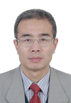 Wang Jun，Doctor of Management and Professor of Economics, President of the Academy of Greater Bay Area Studies.