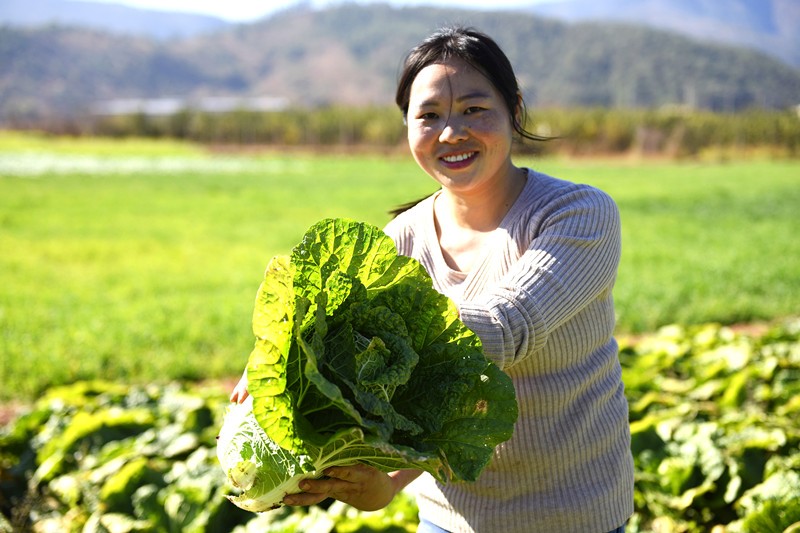 County in SW China makes a name for vegetable production