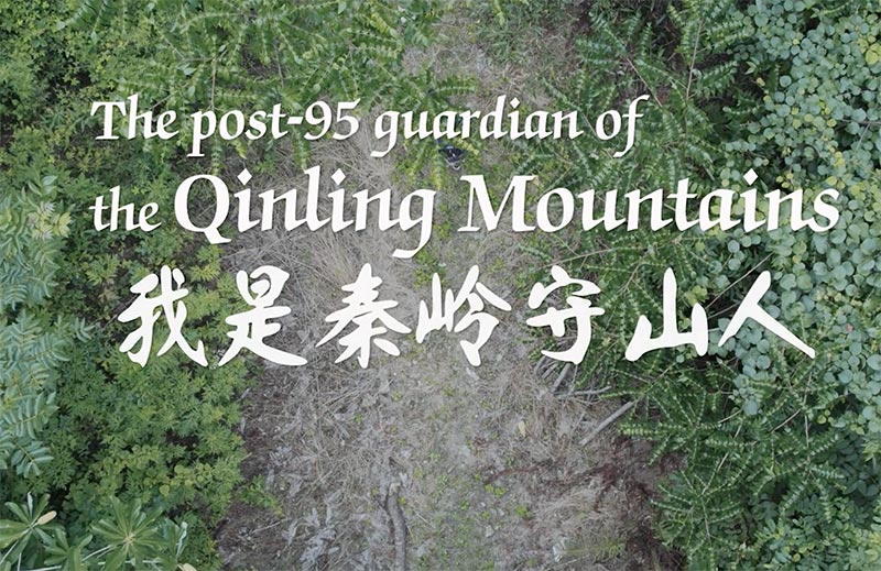 Generation Z forest keeper: to protect nature is to ensure the survival of mankind