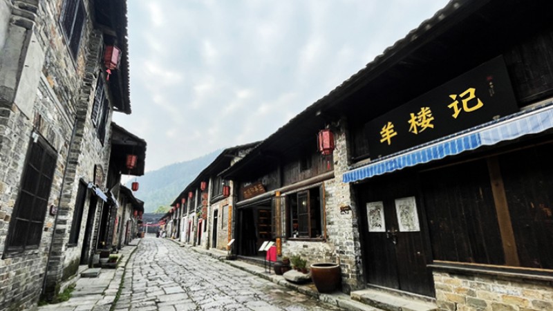 Tea industry flourishes in Chibi, C China's Hubei