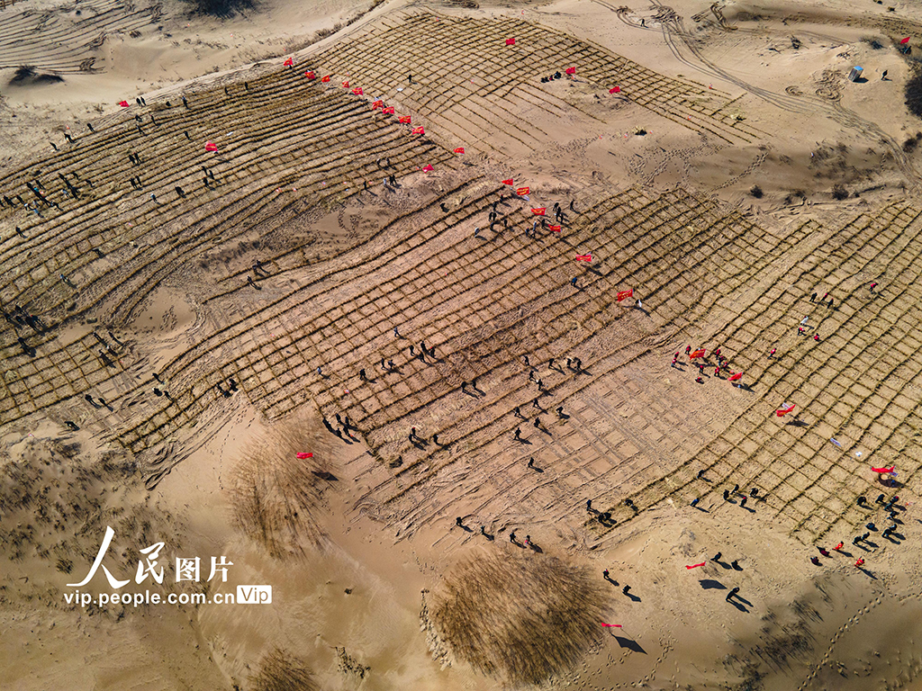 In pics: Aohan Banner in Inner Mongolia builds grass grids for sand control