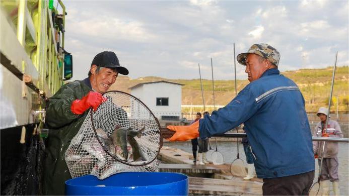 Mountainous village in N China's Shanxi generates wealth through salmon farming