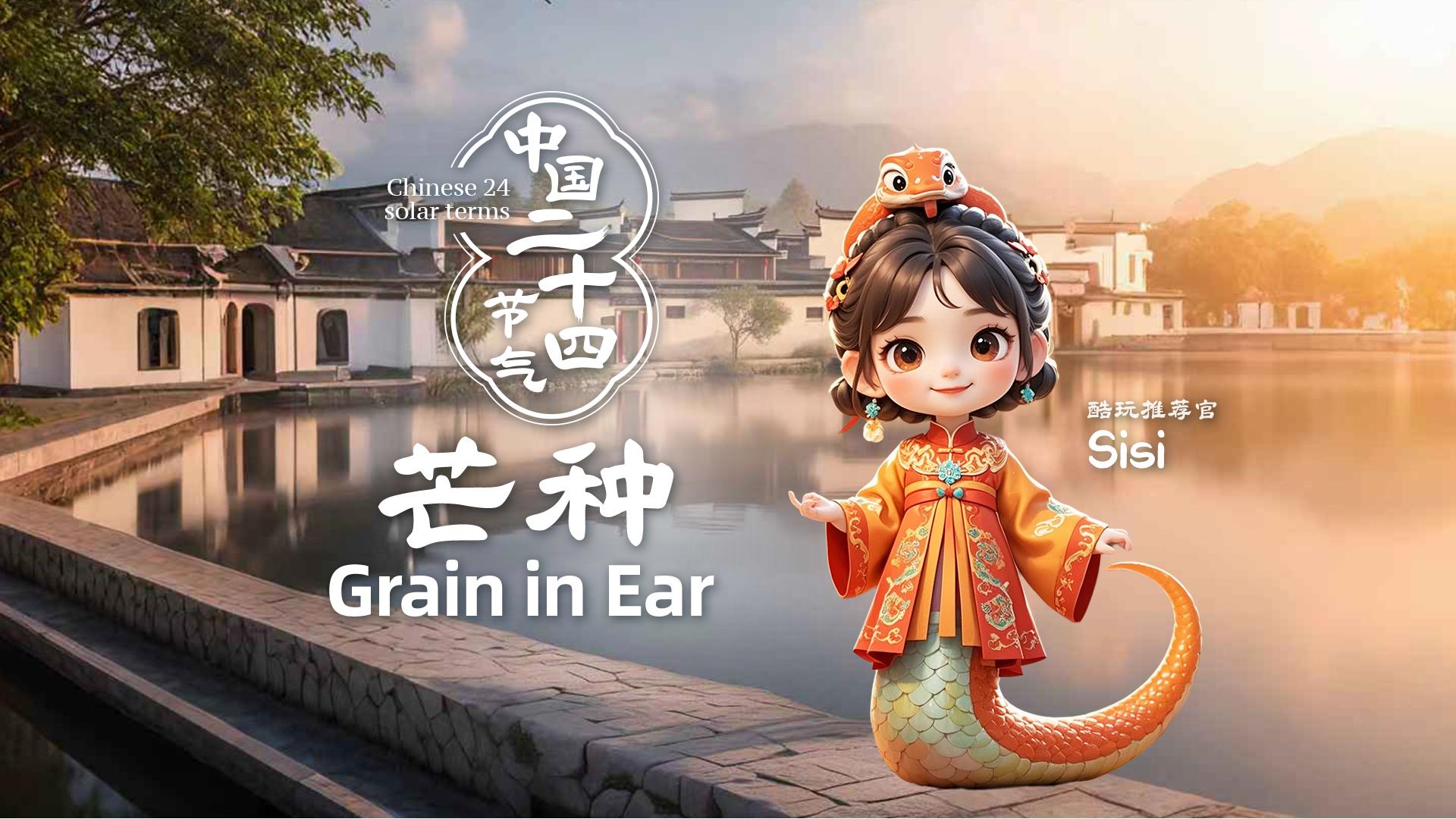Beauty of Seasons: Grain in Ear
