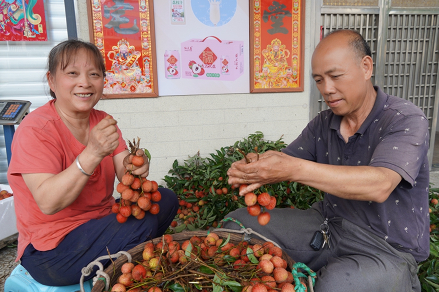 Farmers embrace bumper lychee harvest in Maoming, S China's Guangdong