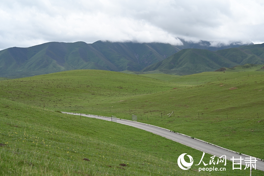 Pastoral summer scene unfolds on Sangke Grassland in Xiahe, NW China's Gansu