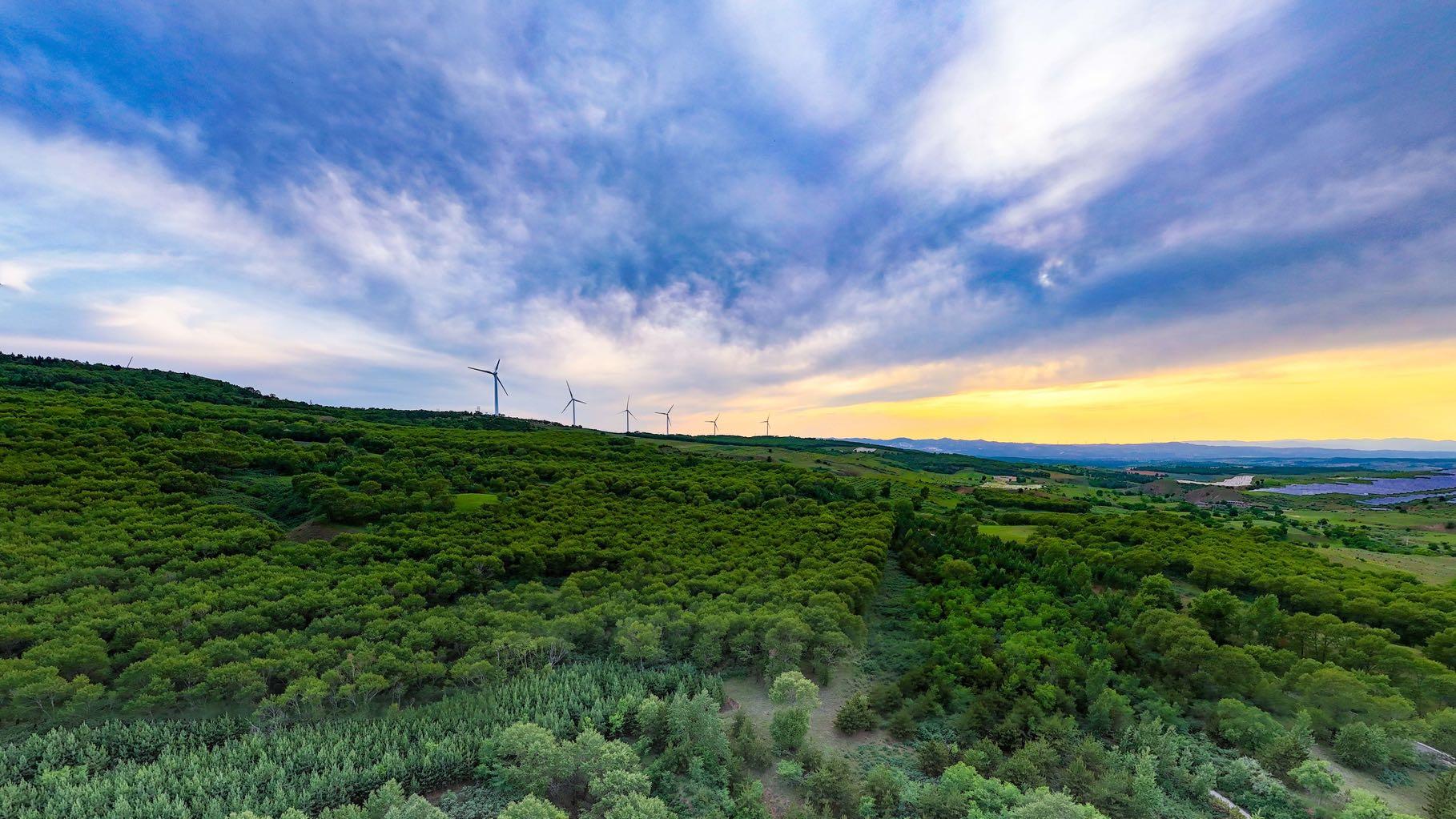 Man spends 43 years turning barren valley green