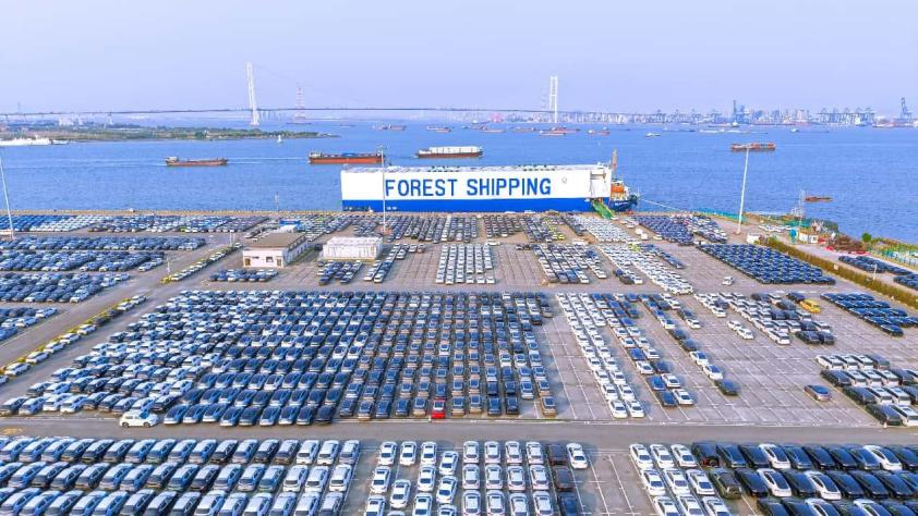 China's port economy powers ahead with strong momentum