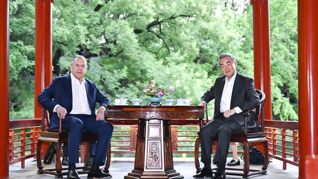 Chinese FM meets Russian counterpart on SCO cooperation