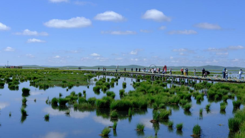 Ruoergai County in Sichuan enters peak summer tourism season