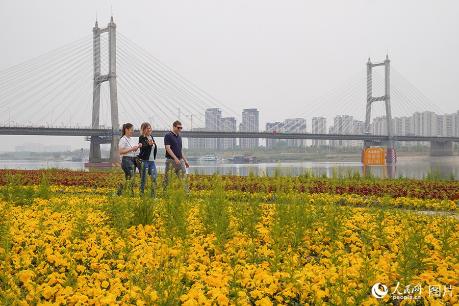 'China Travel' is on fire