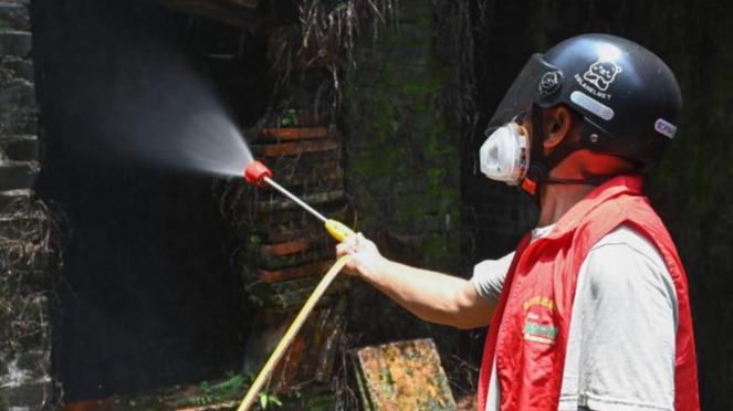 Foshan in China's Guangdong launches campaign to decrease mosquitoes