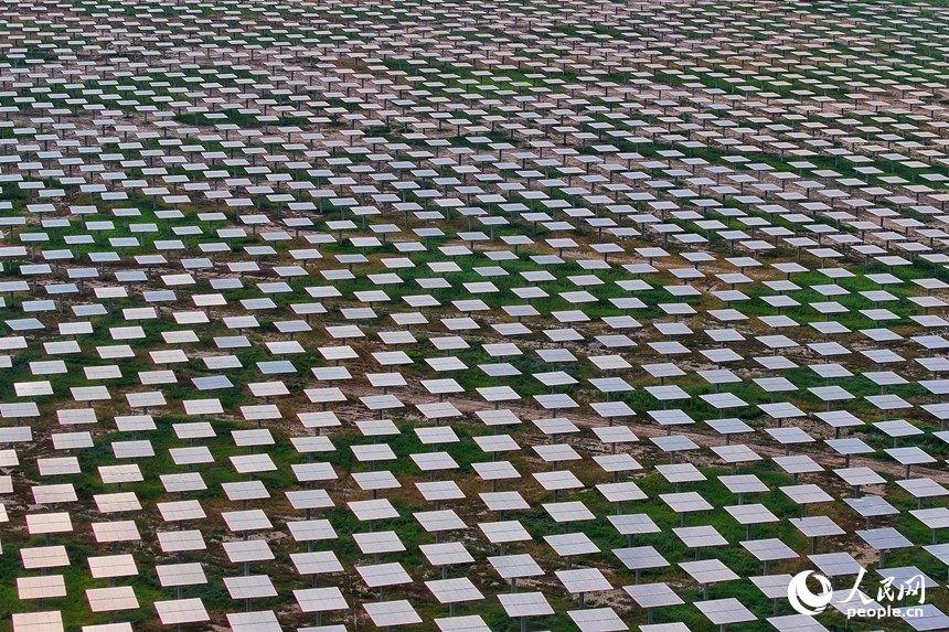 New energy projects spring up in western area of NE China's Jilin