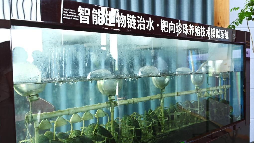 Shanxiahu Town of China's Zhejiang embraces tech-innovation to boost pearl industry
