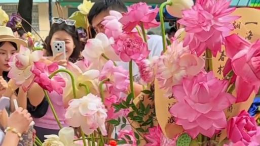 Lotus market draws summer crowds in Suzhou