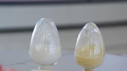 Hainan company transforms fish waste into high-value collagen products