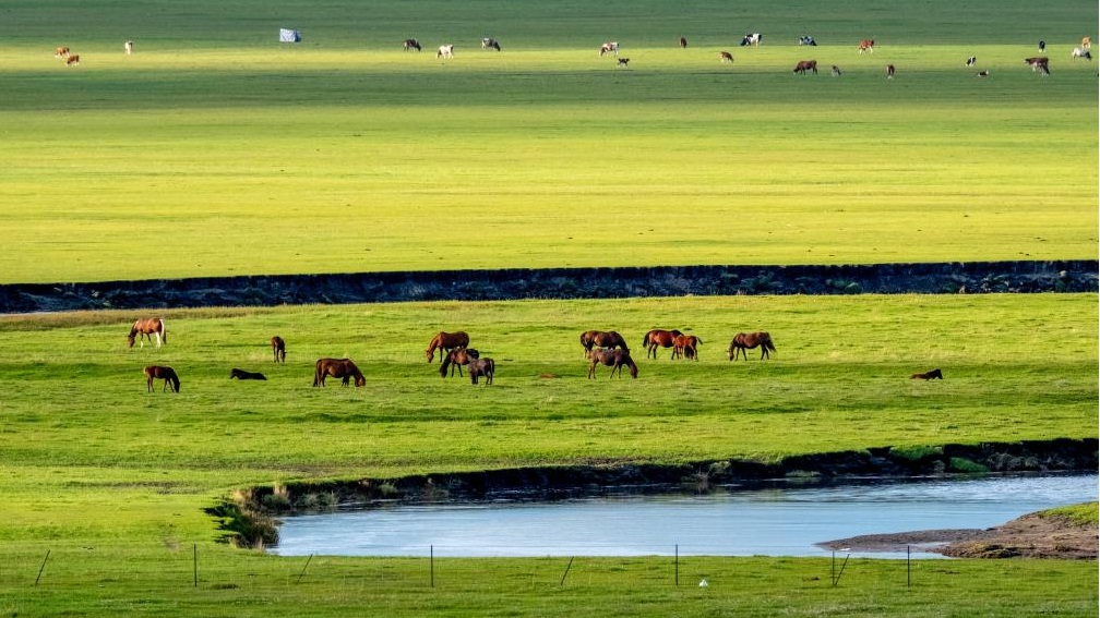 Scenery along Mergel Gol River in China's Inner Mongolia