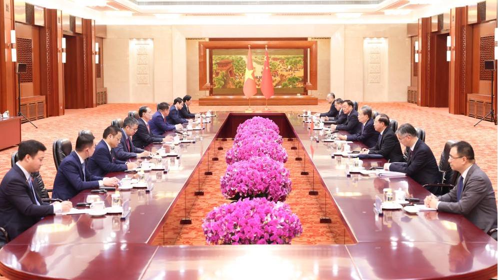 China's top legislator meets vice chairman of National Assembly of Vietnam