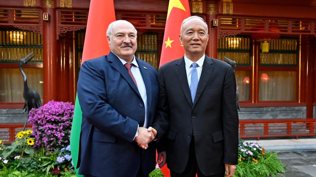 Senior CPC official meets Belarusian president