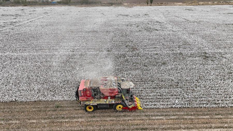 Cotton transformed into high-value products in NW China's Xinjiang