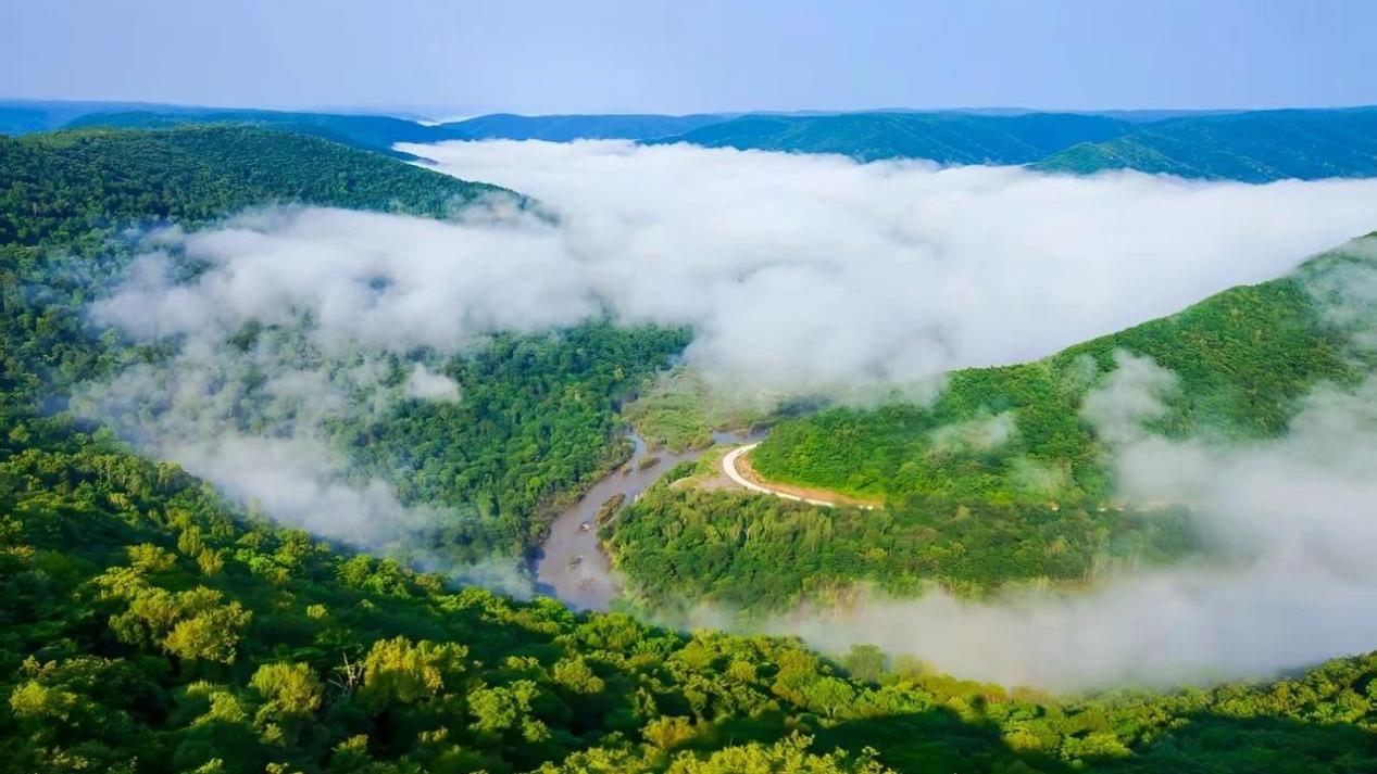 Revitalizing forest communities through science and technology in the Lesser Khingan Mountains