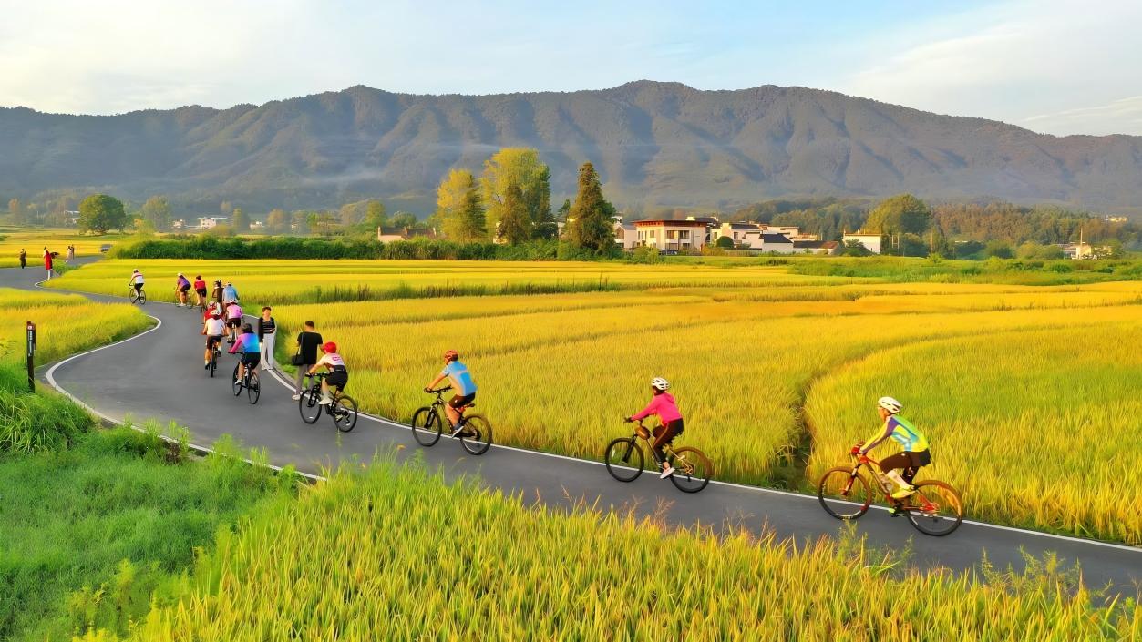 China embraces two-wheel mobility as a green urban transportation solution