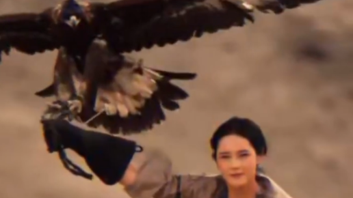 Trending in China | Falconry: Concerto of man and eagle