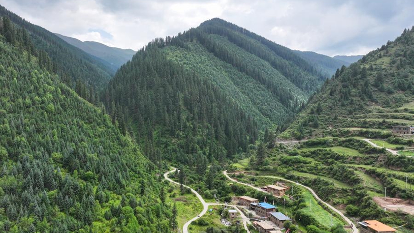 From logging to guardianship: How China protects green source of its "mother river"