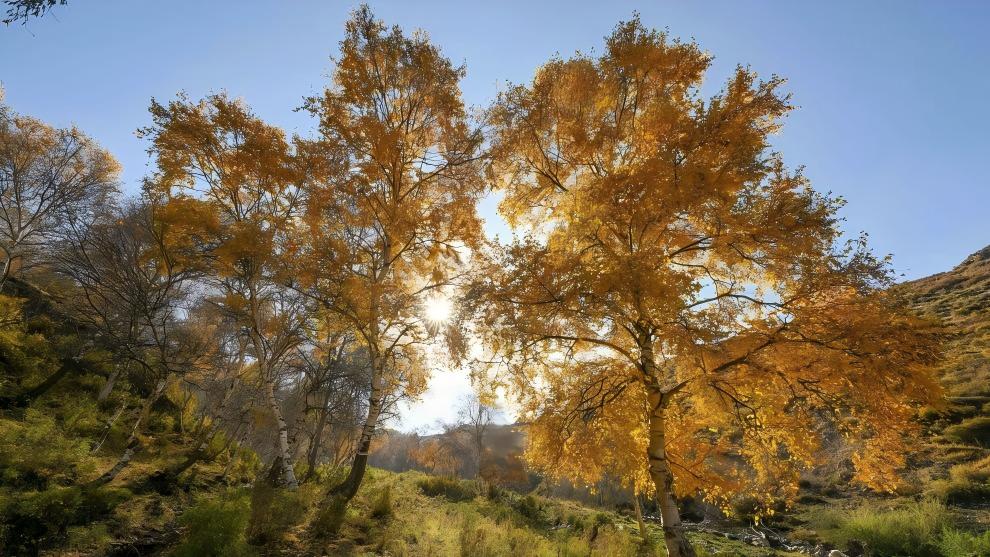 Autumn scenery of Daqingshan National Nature Reserve in China's Inner Mongolia