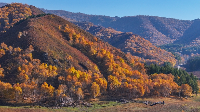 Autumn scenery of Daqingshan National Nature Reserve in China's Inner Mongolia