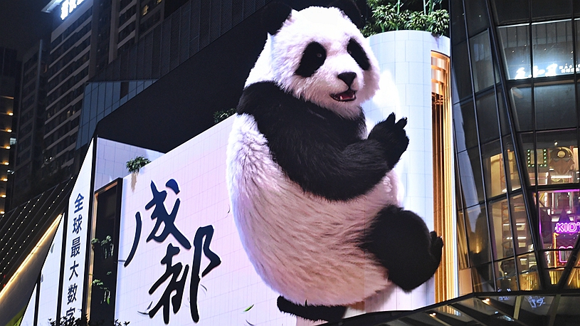 Glasses-free 3D panda becomes iconic local attraction in Chengdu, SW China
