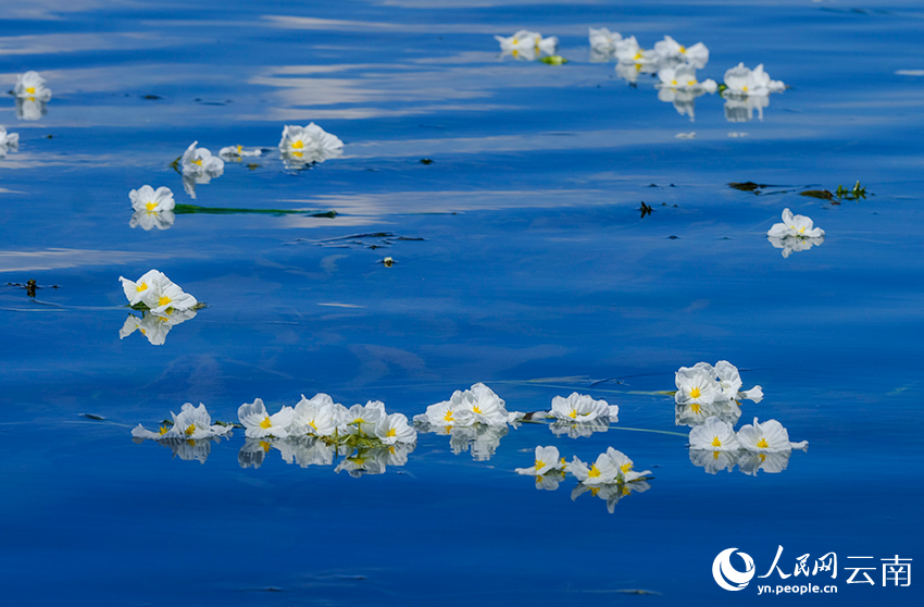 Breathtaking views of Erhai Lake in SW China's Yunnan