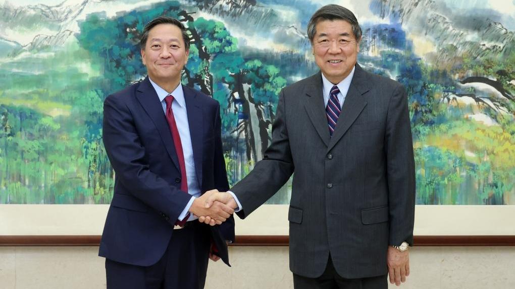 Senior Chinese official meets KKR co-CEO