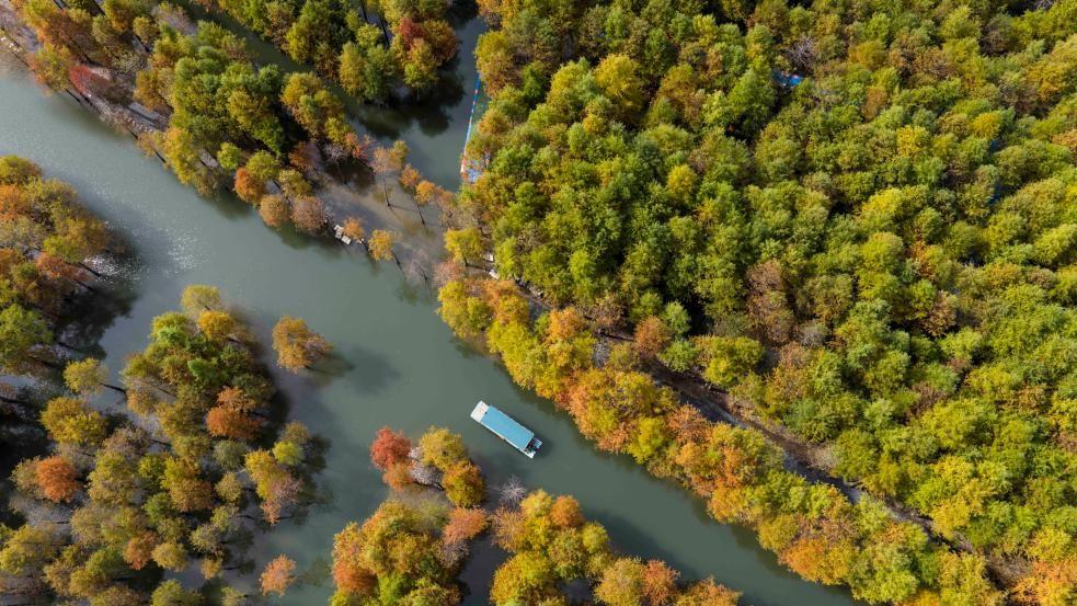 Early winter scenery in China