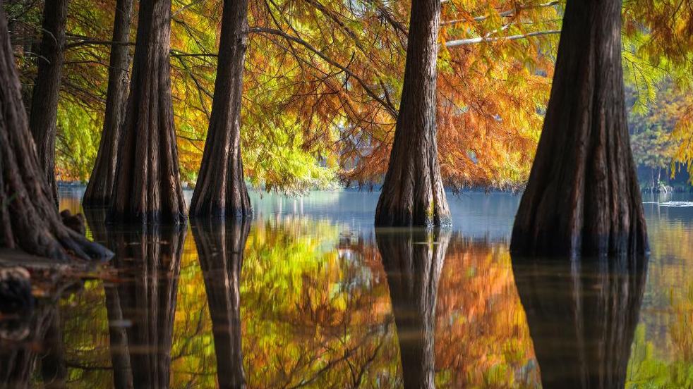 Early winter scenery across China