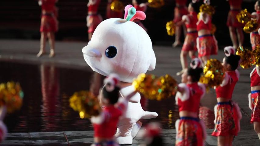 Cute, bouncy, viral: China's dolphin mascots take over the internet