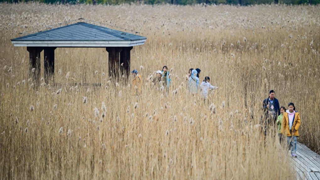 People enjoy winter scenery of Beijing