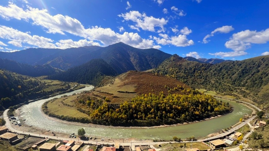 Protection efforts revive forest area in NW China's Qinghai