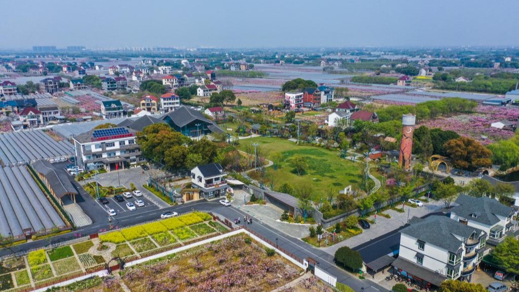 China's Jiaxing consistently implements program to promote rural revitalization