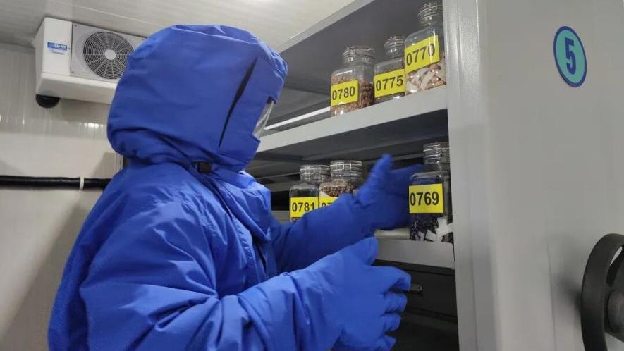 Shanghai seed bank hits 100 million samples in biodiversity conservation push