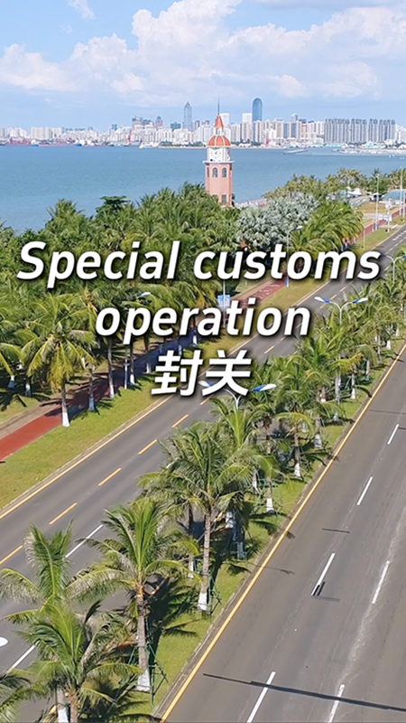 Quick take: Understanding island-wide special customs operations at Hainan Free Trade Port in 100 seconds