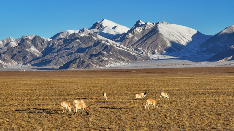 High on the plateau, guardians keep watch over pristine wilderness