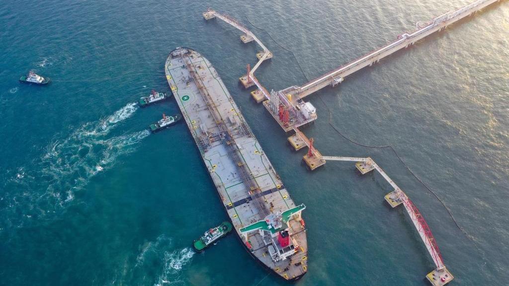 1st batch of goods undergoes special customs clearance in China's Hainan