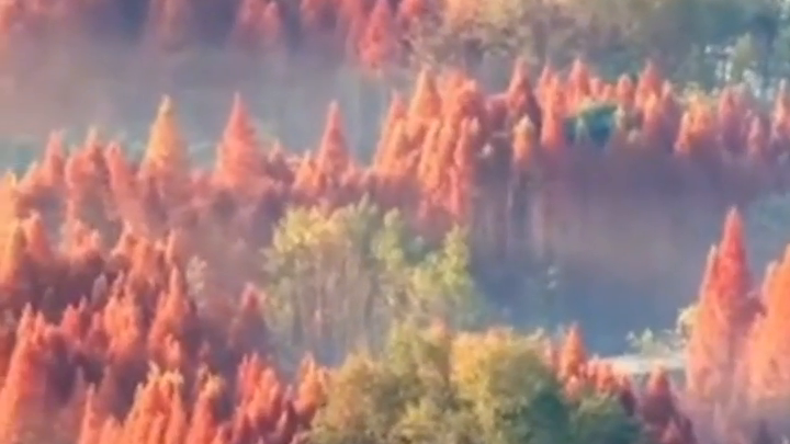 Dujiangyan in the morning light
