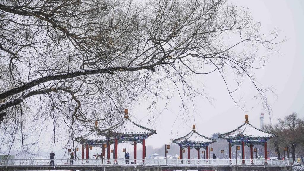 China's Changchun experiences snowfalls