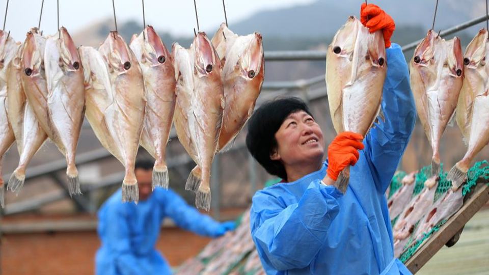 People dry fish in Jimo District of Qingdao, E China
