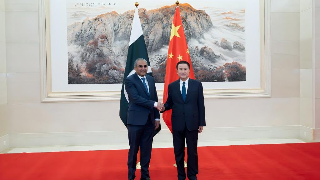 China's police chief meets with Pakistan's minister for interior, narcotics control