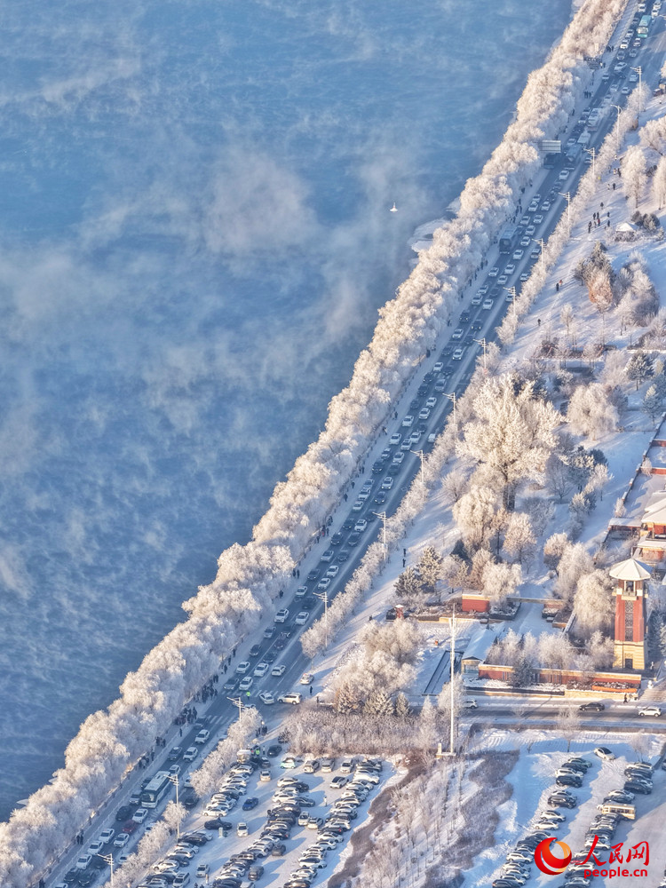 Rime ice scenery draws tourists to NE China's Jilin