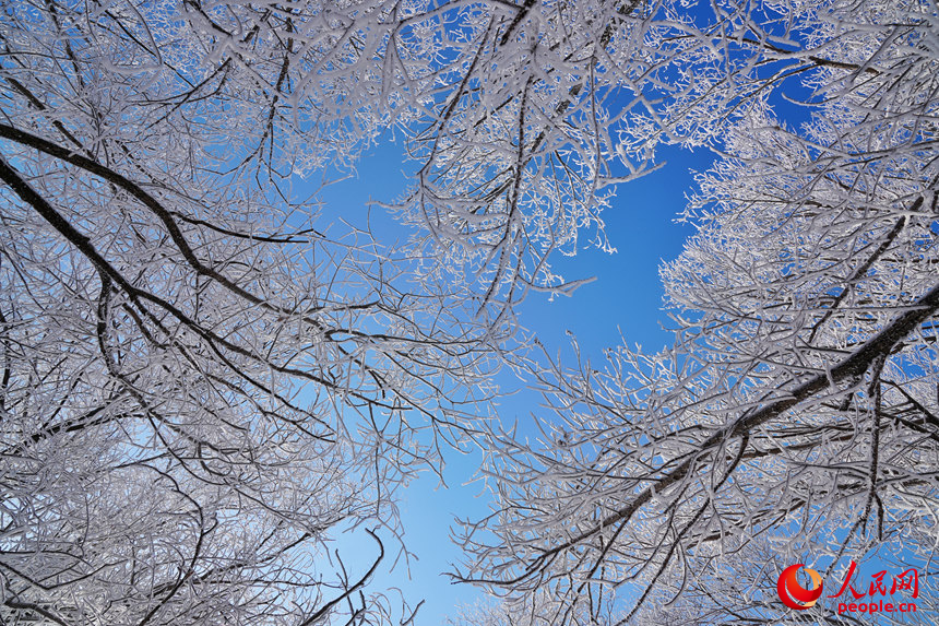 Rime ice scenery draws tourists to NE China's Jilin