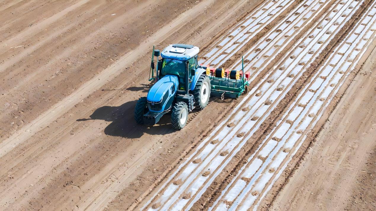 Technology drives development of Xinjiang's cotton industry