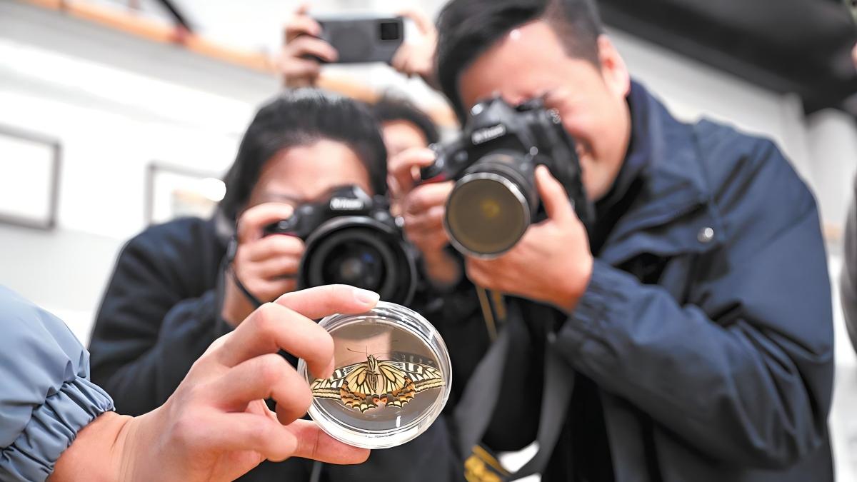 Chinese experiment sees butterfly emerge in space